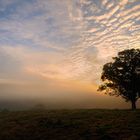 Así amanecía esta mañana