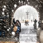 Asi nieva en Burgos