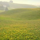 Asiago Spring