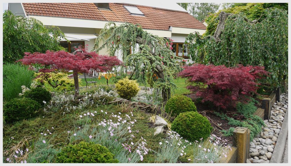 Asiatischer Garten Foto & Bild landschaft, lebensräume, natur Bilder