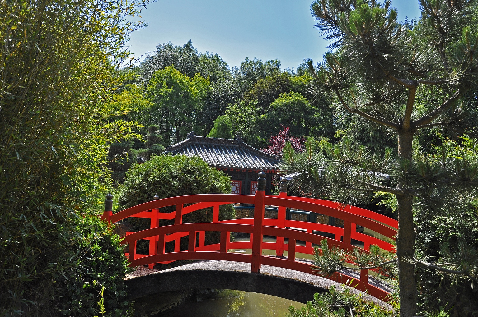 Asiatischer Garten, Münzesheim Foto & Bild world, teich, natur Bilder