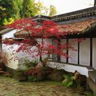 Asiatischer Herbst