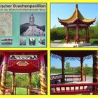 Asiatisches am Rhein