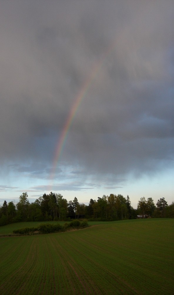 "Asker's Rainbow"