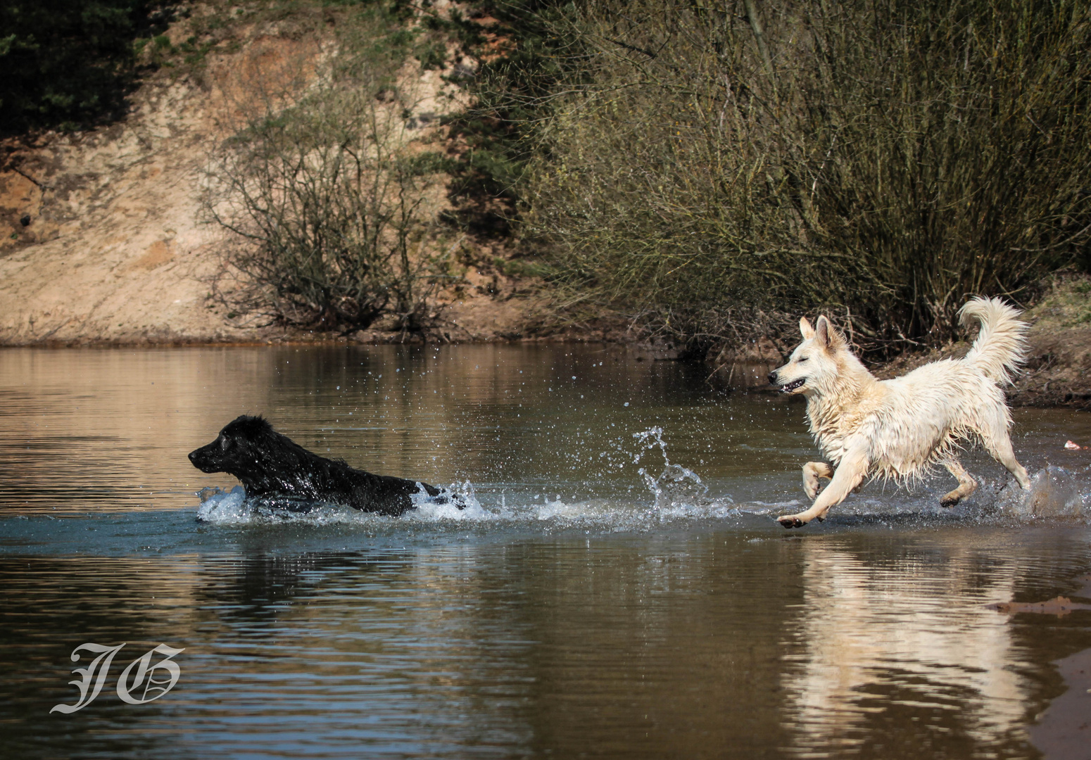 Askia.....die über das Wasser lief :-)