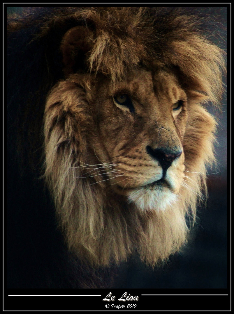 Aslan