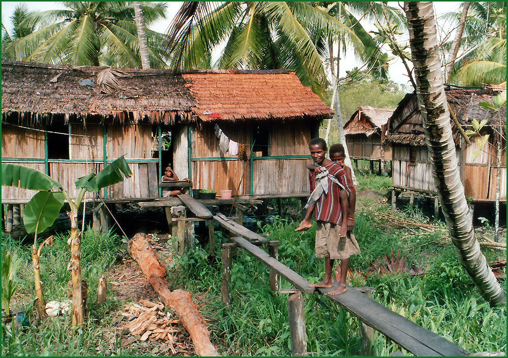 Asmat Dorf Warse