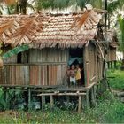 Asmat Dorf West Papua