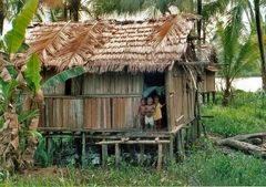 Asmat Dorf West Papua