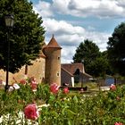 Asnières sur Vègre , le manoir .