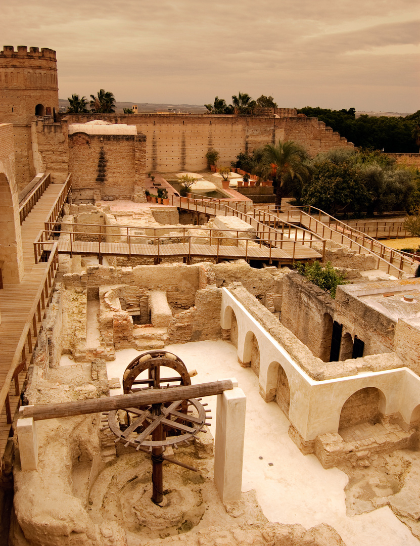 ASOMÁNDONOS A LOS JARDINES - ALCÁZAR DE JEREZ