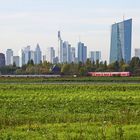 Aspekte von Frankfurt