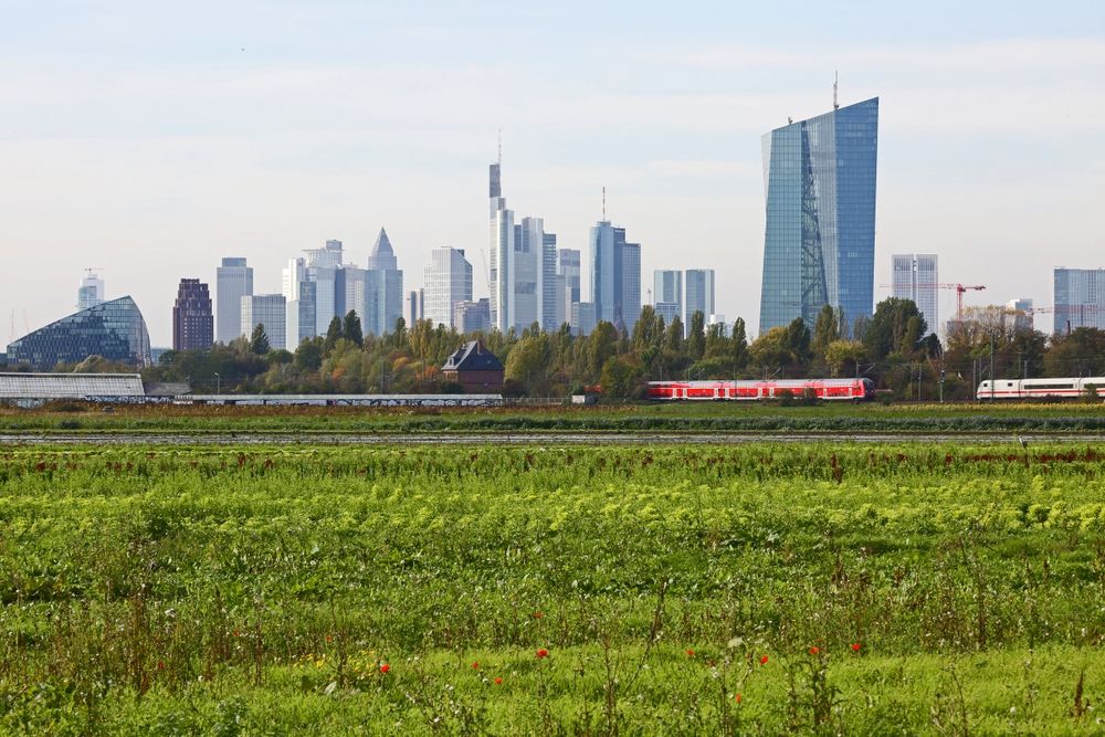 Aspekte von Frankfurt