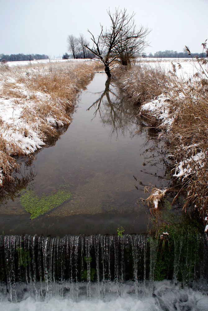 Aspengraben im Winter