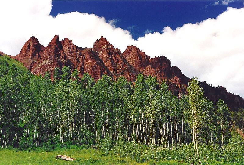 Aspens - Maroon Bells/Snowmass Wilderness - Colorado - 04.07.1999