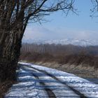 Aspettando il sole