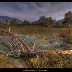 Aspettando l' autunno