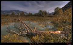 Aspettando l' autunno