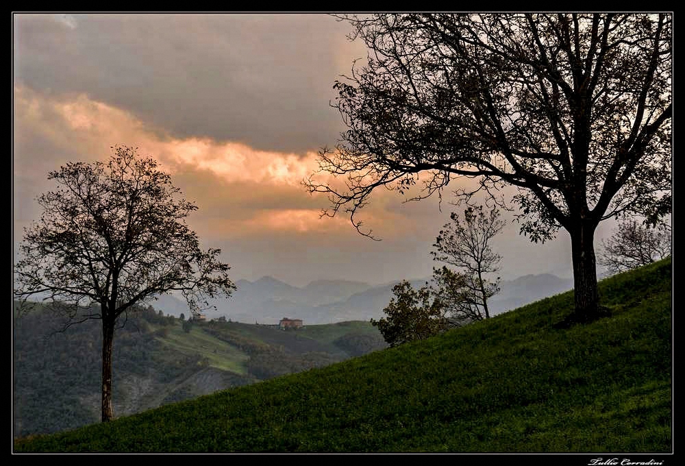 ..aspettando .la neve!..