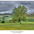 "aspettando la pioggia"