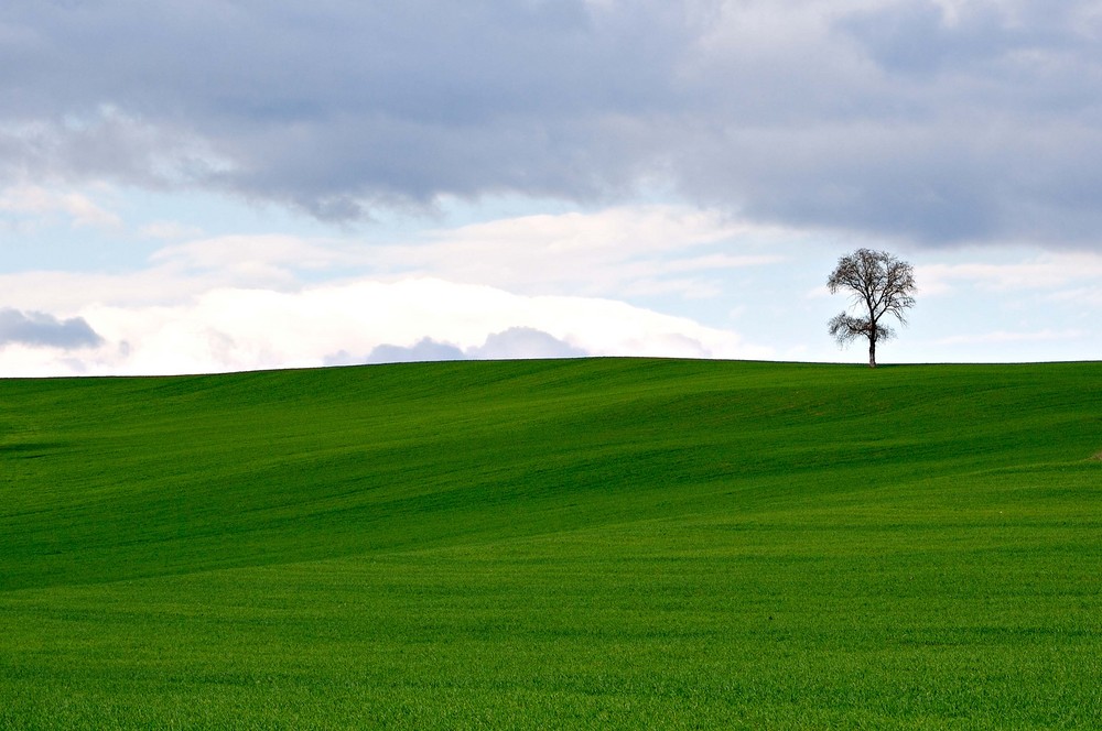 aspettando la primavera