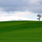 aspettando la primavera