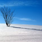 aspettando la primavera