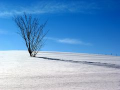 aspettando la primavera