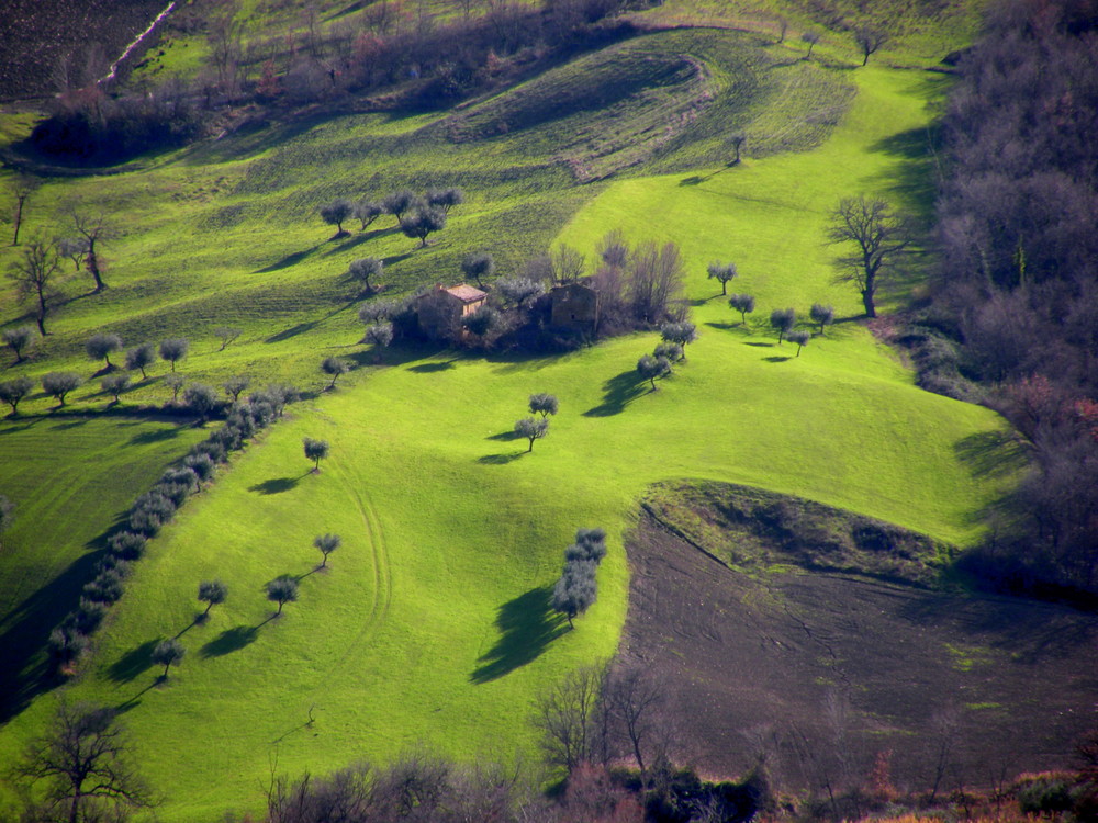 aspettando la primavera