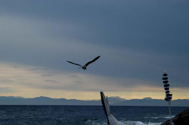 Aspettando la tempesta...