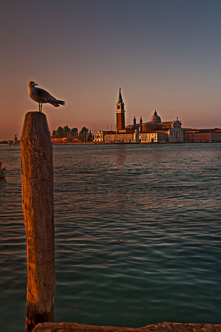 aspettando l'alba in compagnia