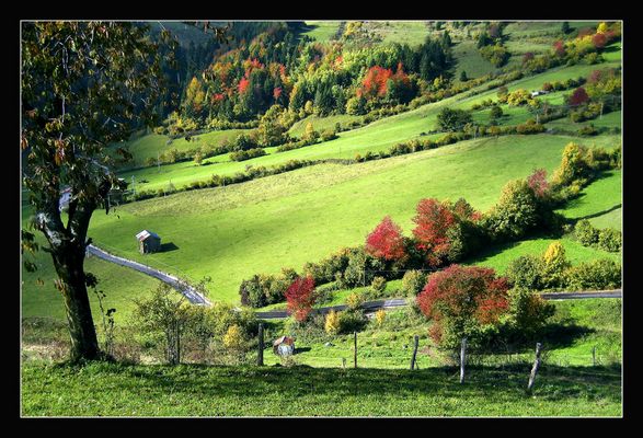 aspettando l'inverno....