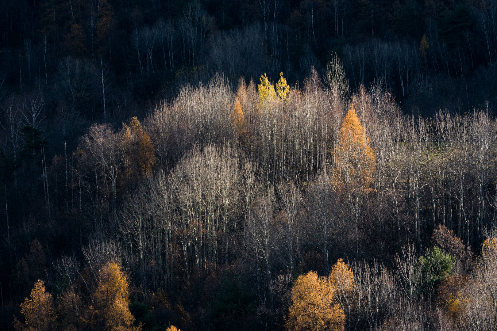 Aspettando l'inverno