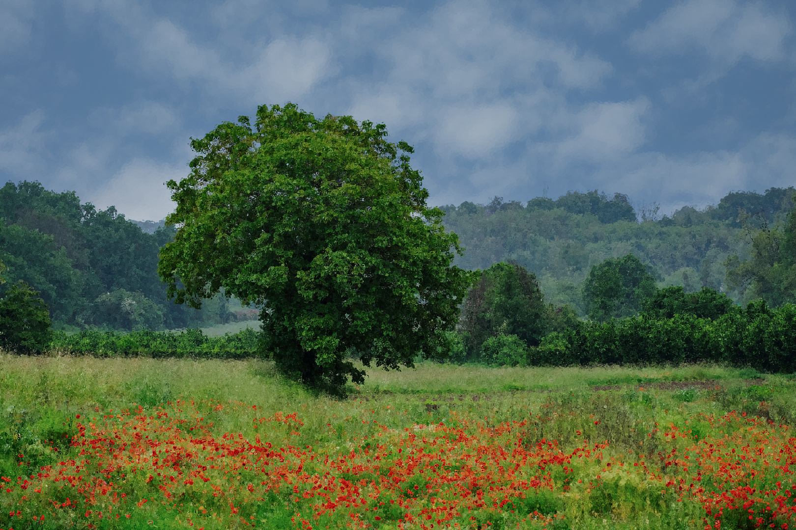 Aspettando Monet.