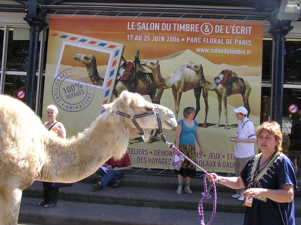 Aspetti di Parigi