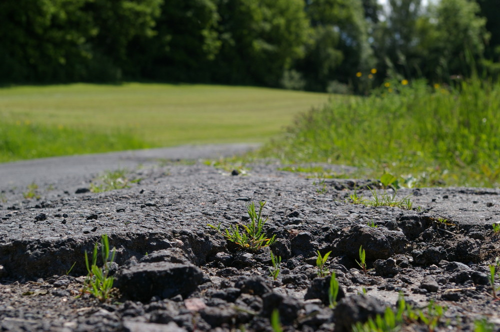 Asphalt damage