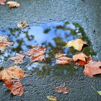 Asphalt Kunst Herbst