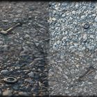 Asphalt-Mutter