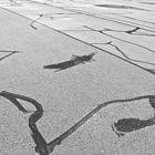 ASPHALT STREET ART © by Dee Bee Smith 2014