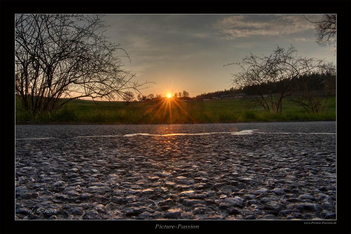 Asphalt Sundown