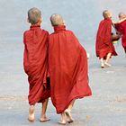 ASPIRING BUDDHIST MONKS