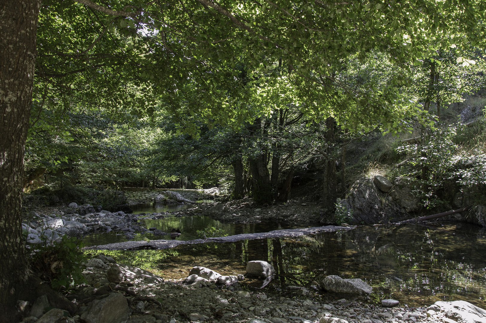 Aspromonte