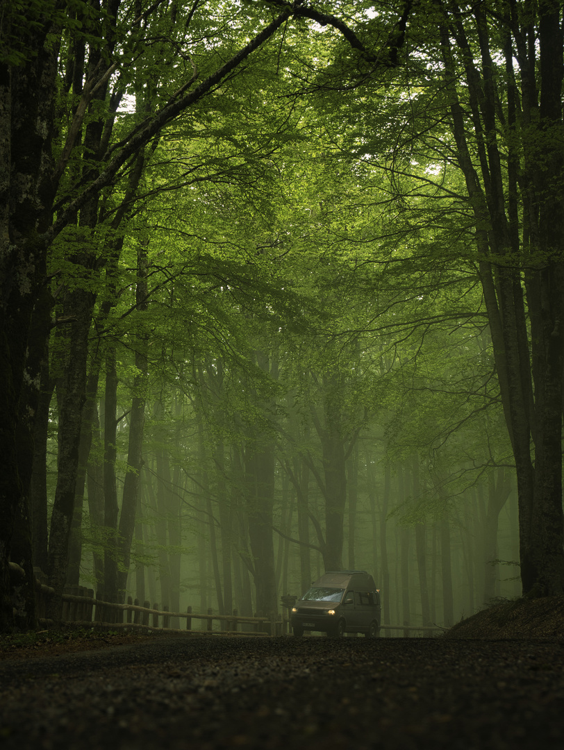 Aspromonte Fahrzeug im Nebel