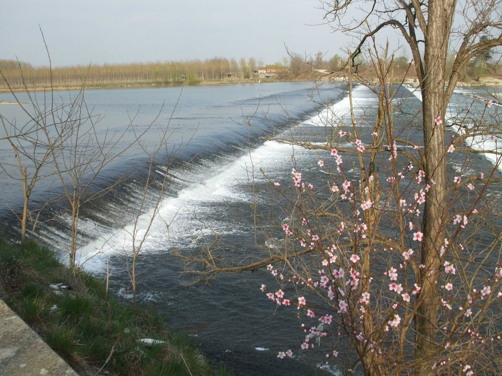 Assaggio di Primavera