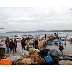 Assalto F.C al golfo di Baratti