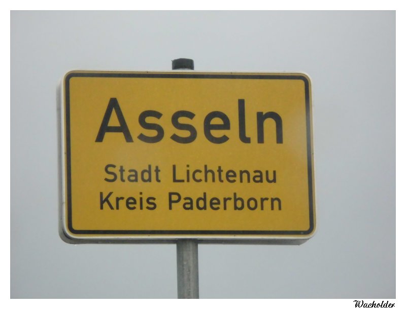 Asseln