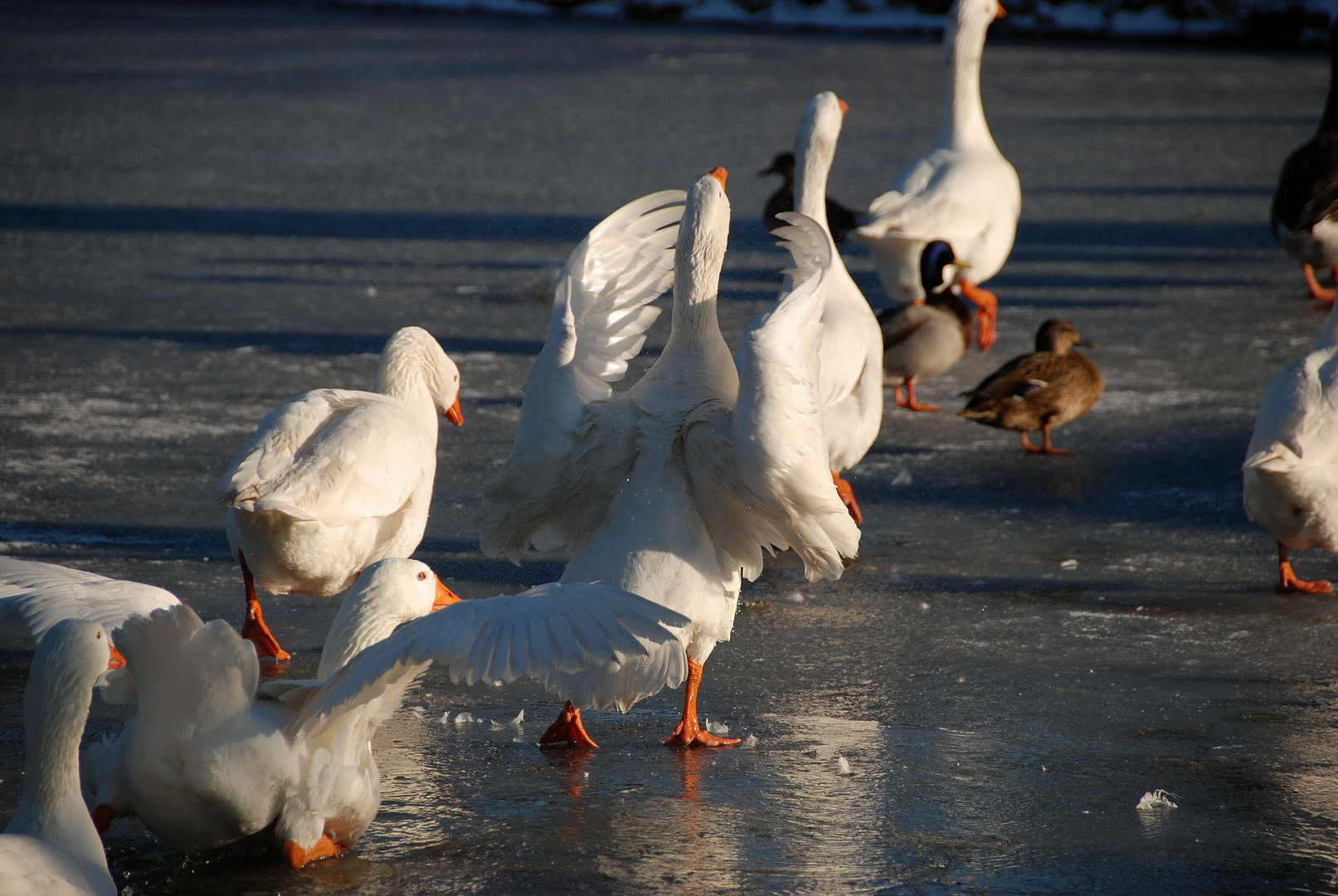 Assez joué, on sort de l'eau!