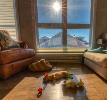 Assez l'hiver et les bancs de neige !