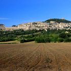 Assisi