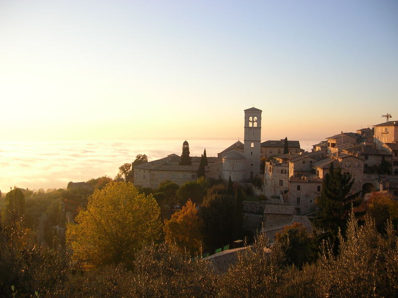 assisi